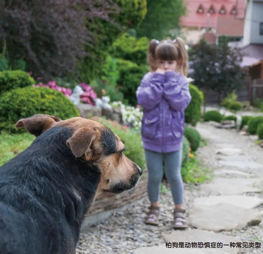 "与竞争对手比肩强大，却又为何畏惧它们——探讨我们在互联网领域的独特优势和挑战"