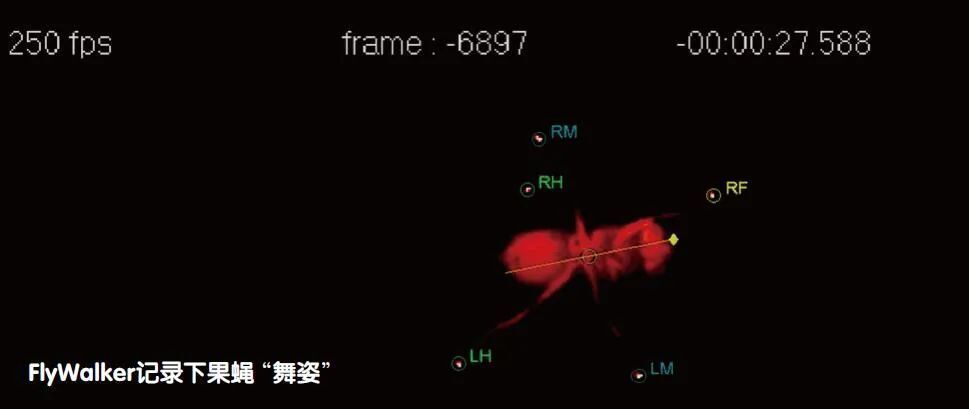 "从微观果蝇到宏观宇宙：探索科技与自然的奥秘"