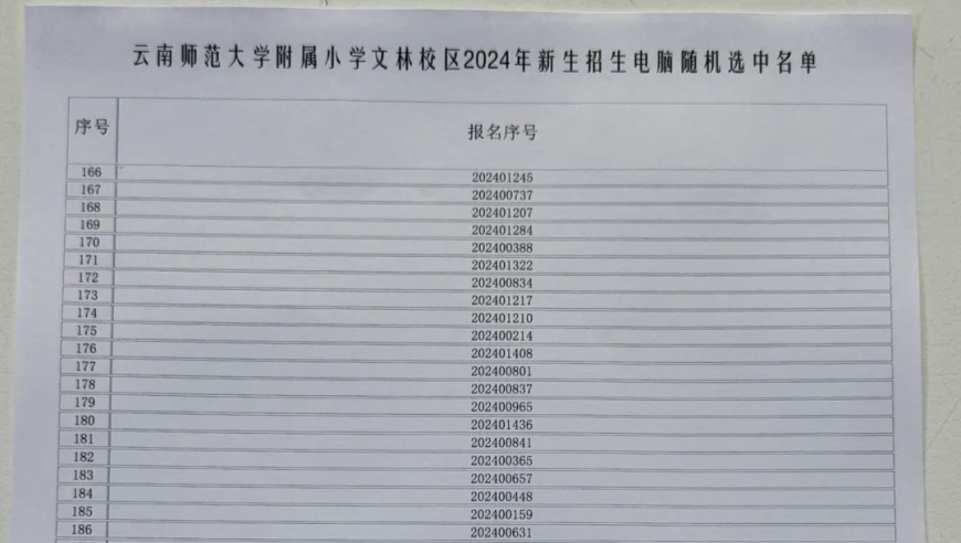 云南师大附小文林校区电脑随机选号结果公开：欢迎查阅