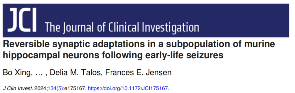 "JCI揭示：年轻时生命早期癫痫的潜在长期影响与早期干预策略"