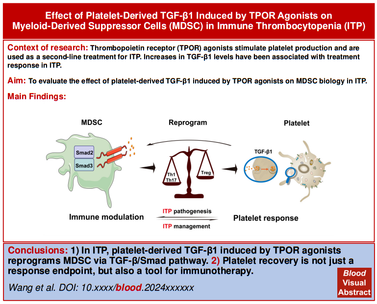 "山东大学侯宇团队揭示：TGF-β1驱动的免疫性血小板减少症中髓源性抑制细胞功能性的转变与研究进展"
