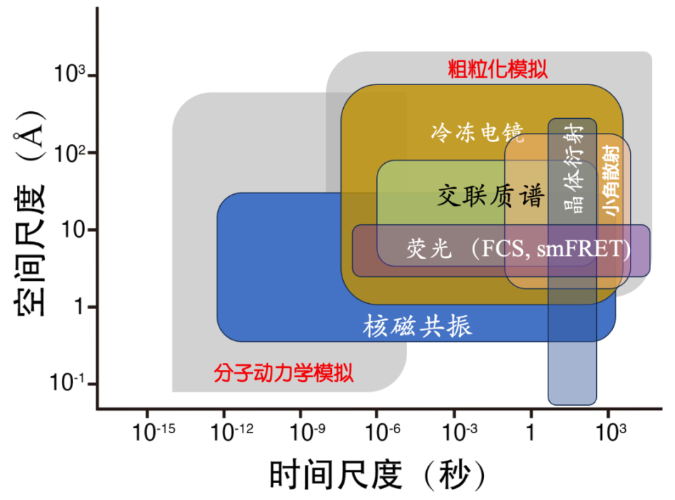 "探索蛋白质分子机器在多尺度和多方法下的结构动态研究"