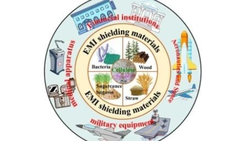 中国林科院贾普友副研究员和周永红研究员在Polymer Reviews上发表研究，重点探讨纤维素基复合材料的结构设计与EMI屏蔽应用进展