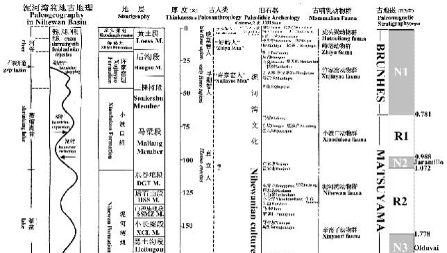 第四个纪地层泥河湾盆地新发现的鹿角梁古生物遗存，刷新了我们对古代动物的认知!