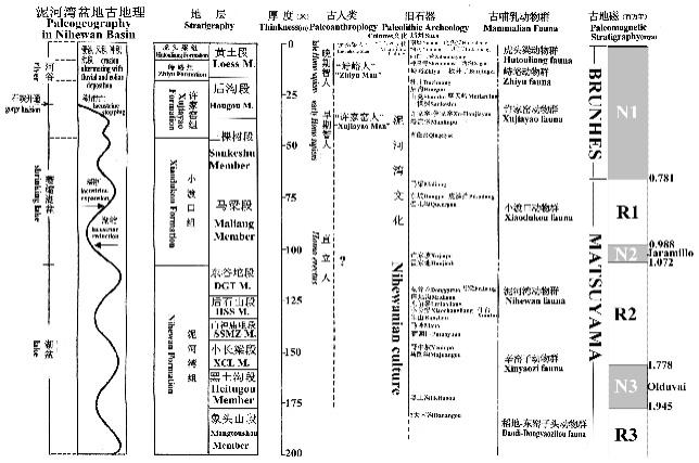 "第四个纪地层泥河湾盆地新发现的鹿角梁古生物遗存，刷新了我们对古代动物的认知!"