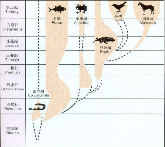 "论生物疗法的奥秘：为什么它可能成为治疗顽固疾病的不二之选?"