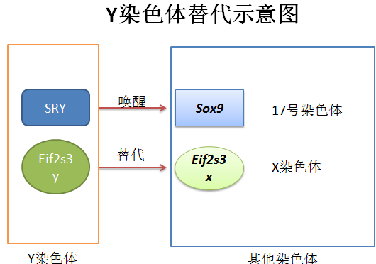 "论生物疗法的奥秘：为什么它可能成为治疗顽固疾病的不二之选?"