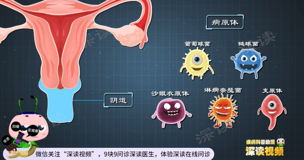 "4大事项助你防止卵巢炎，健康生活从有效管理妇科疾病开始！"