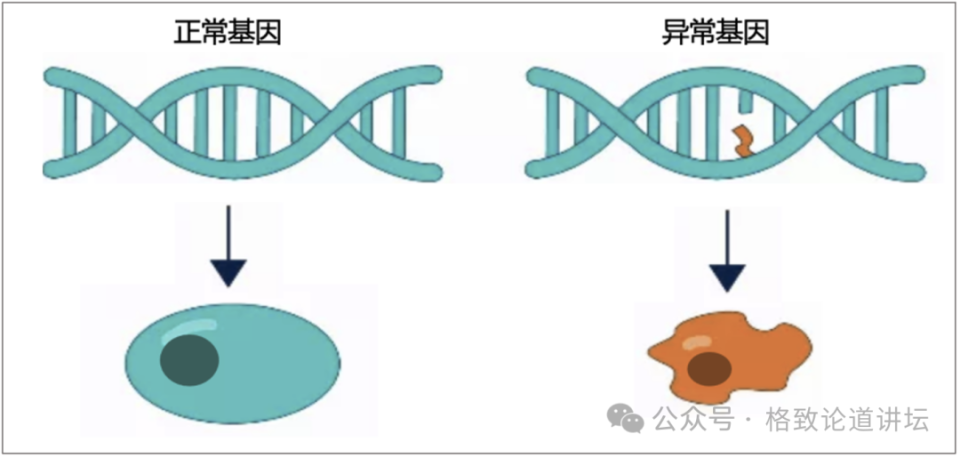 "基因疗法：一出生就能无法产生多巴胺的孩子们找到了新的快乐源泉"