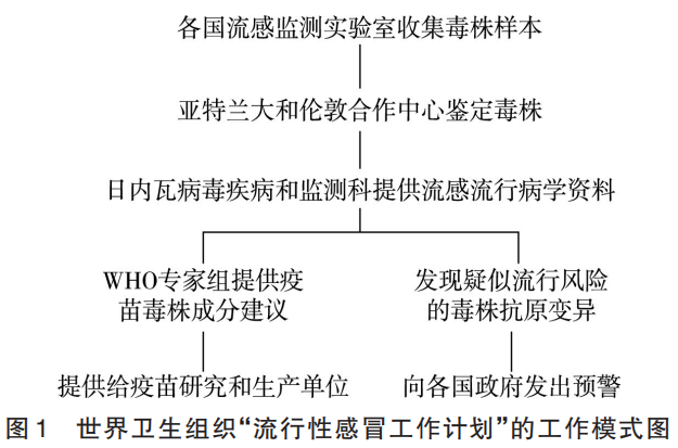 "最新！【本期荐读】王月丹：预测流感病毒流行趋势与变异株，轻松解读病毒动态！"