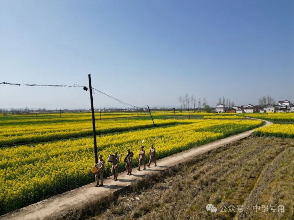 "鹰击长空，一路追踪着空军的春季巡逻行动——跟随他们踏上神秘的‘上春山’之旅"