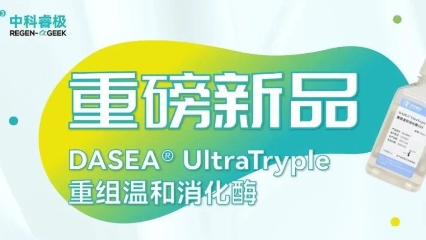 中科睿极DASEA UltraTryple重组温和消化酶新品上市