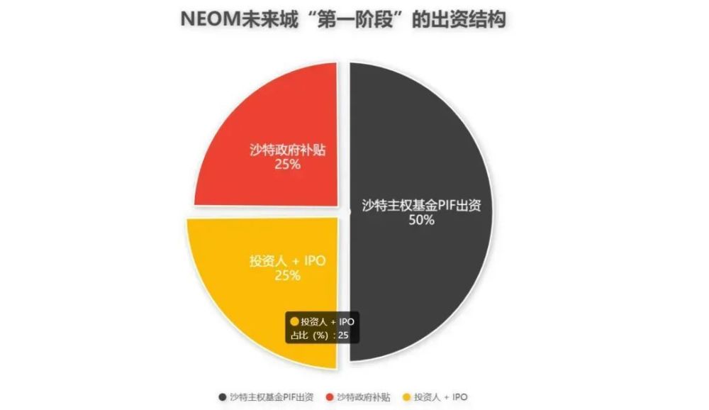 "沙特未来发展：NEOM城市如何解决资金问题?"