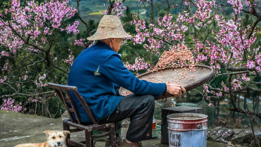 春季来临之际，如何科学合理的调整饮食习惯，守护身体健康？谨记2少吃2多吃，安稳度过春天