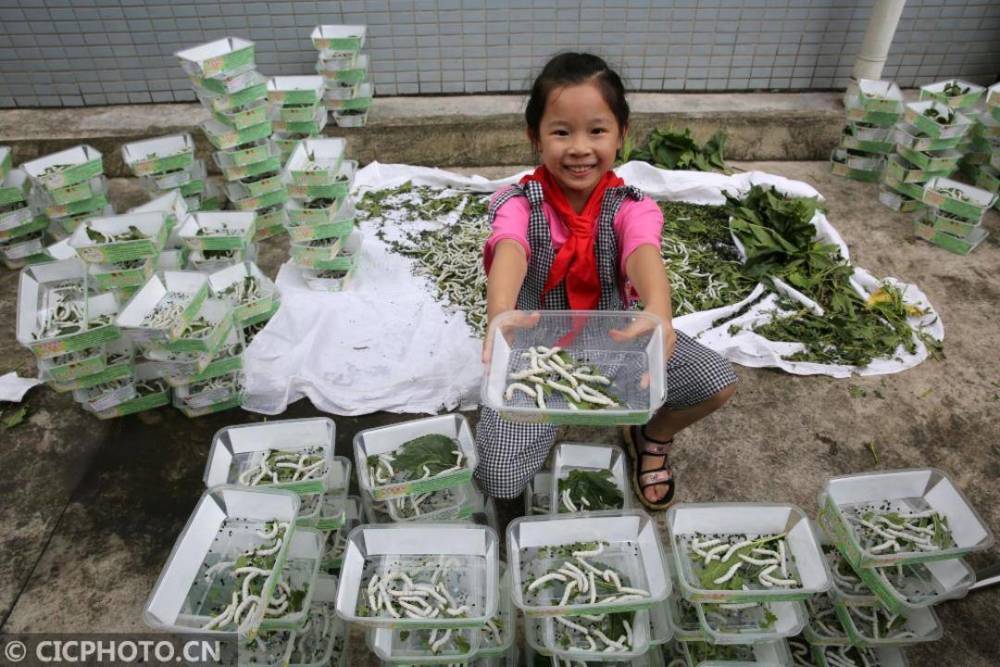 "小孩带春蚕宝宝上地铁被拦 官方回复：我们需要继续努力提高乘车安全意识"

这个标题准确地表达了新闻的核心信息，简洁明了。使用了“小孩带春蚕宝宝上地铁”这样的表述方式，引人注意，“被拦”和“官方回应”，也突出了事件的紧迫性和重要性。同时，标题中还添加了“需要继续努力提高乘车安全意识”的字样，强调了提升乘车安全意识的重要性。