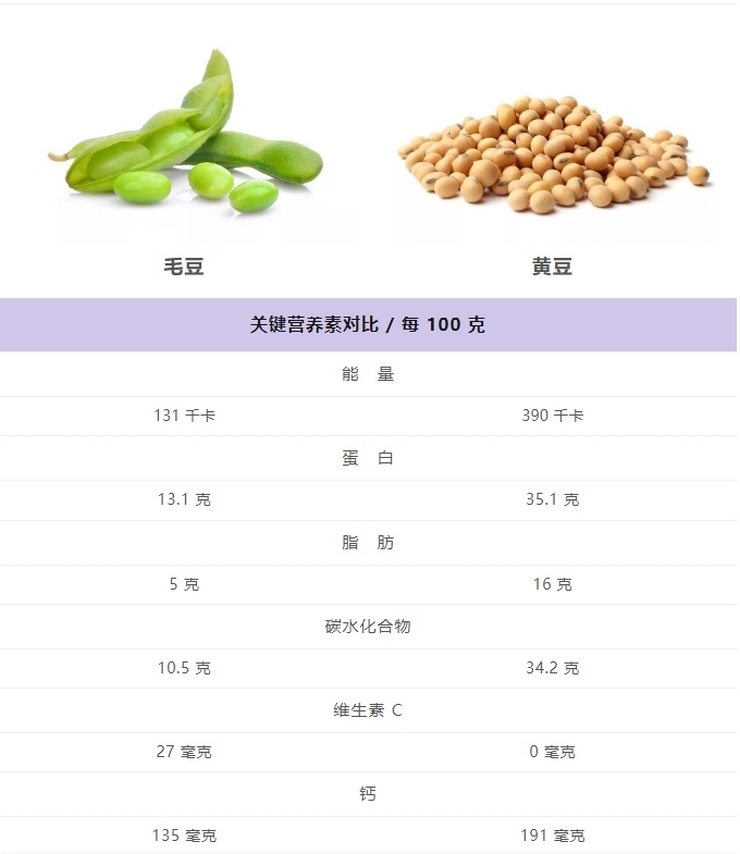 "详解毛豆为何比黄豆更年轻：别再误解这个事实了"