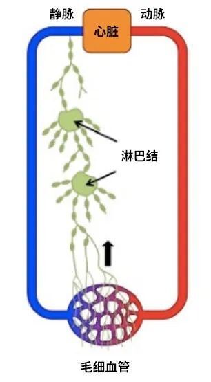 "不正确的用药导致孩子肚子疼：你需要知道的误区"