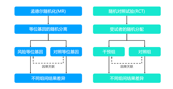 "《孟德尔随机化》：作为互联网领域的新宠儿，为何如此重要？"