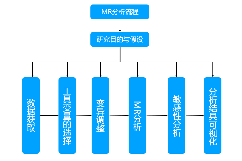 "《孟德尔随机化》：作为互联网领域的新宠儿，为何如此重要？"