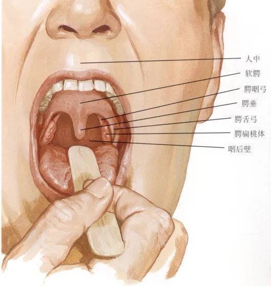 "睡眠失调：白天嘴巴紧闭，晚上张嘴睡觉？警惕腺样体肥大的影响!"