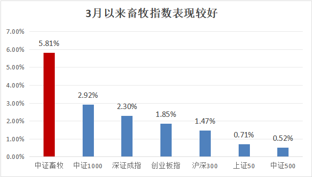 "猪价‘淡季不淡’，猪周期或提前显现：专业的互联网解析与解读"