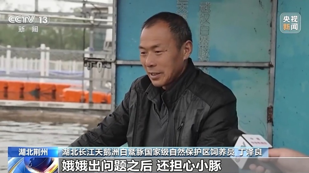 "渔夫的心声：他是江豚的守护者，他的人生与江豚的故事交织在一起"