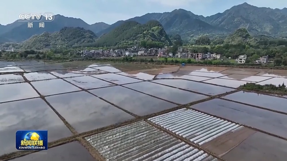 "优化后的标题建议：在希望的田野上：良种、良机和良法助力各地春耕妙招"