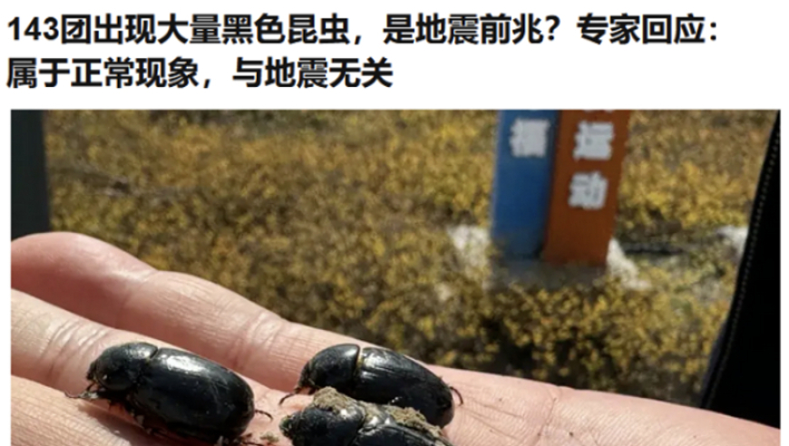 专家科普：‘专家科普黑色昆虫不是地震前兆’，真相真的反转了？