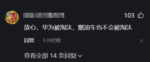 "华为余承东：纯燃油车成本过高，应尽快淘汰，你们有何看法?"