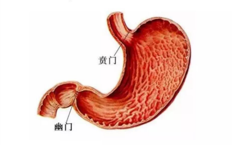 "男子连吞一粒米都无法消化，被诊断为严重的营养不良病，上海医生：这种情况太痛苦了..."