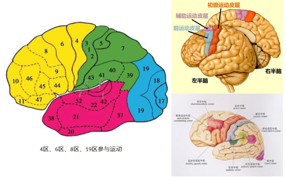 "李玫瑾：在孩子的12岁前，掌握两项重要技能，父母就能让孩子受益终生"