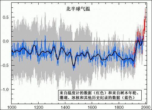 "史书与年轮：一树见证秦始皇盛衰的真实面纱"