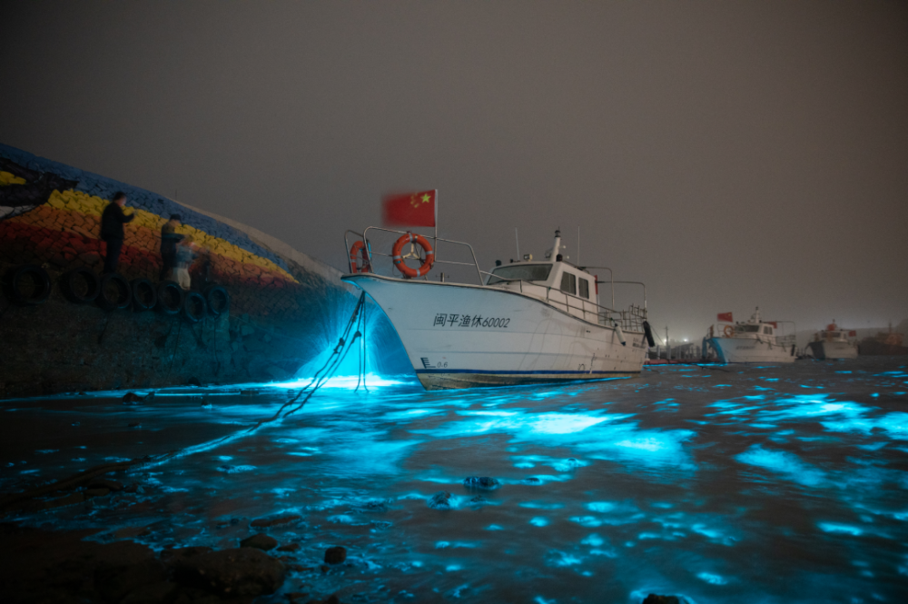 "阳光与泪滴：限时美丽，天气预报不容错过"