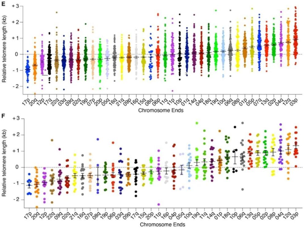 "崭新的《科学》发现揭示了端粒长度与染色体特异性的关系，并指出不同的染色体之间存在显著差异。此重大发现为遗传学研究提供了新的视角。"