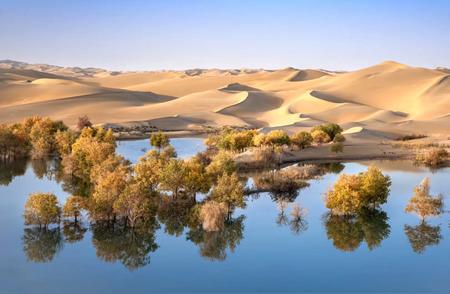 探秘新疆春天与夏天的最佳旅游季节 - 天气与美景兼备