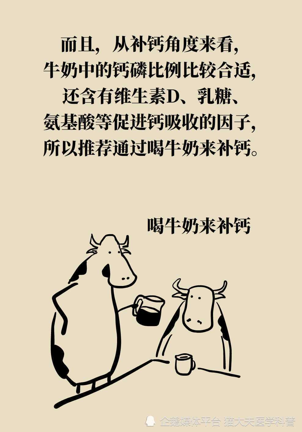 "酸奶与豆浆：哪种更能补钙？它们之间究竟有何不同？"