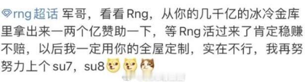 "RNG老板成老赖！粉丝：若无法解决债务问题，将其打包出售给雷军"