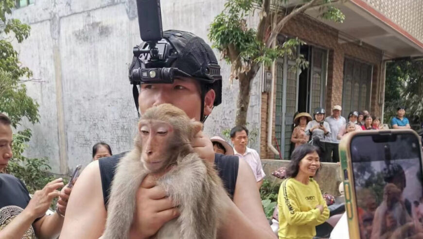 海口一名疑似‘偷吃猴子’的游客被送往动物园，情况紧急需警方介入调查