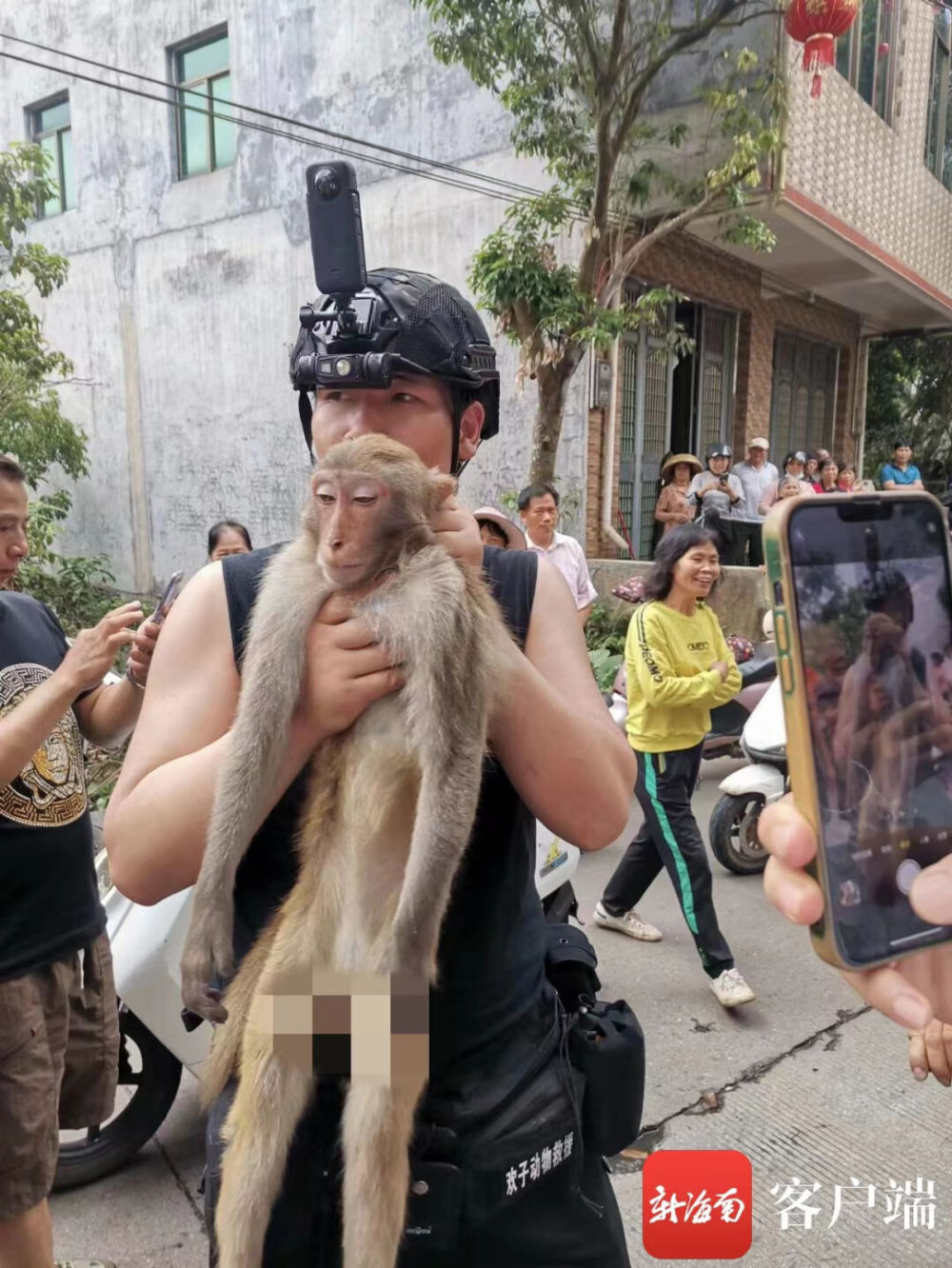 "海口一名疑似‘偷吃猴子’的游客被送往动物园，情况紧急需警方介入调查"