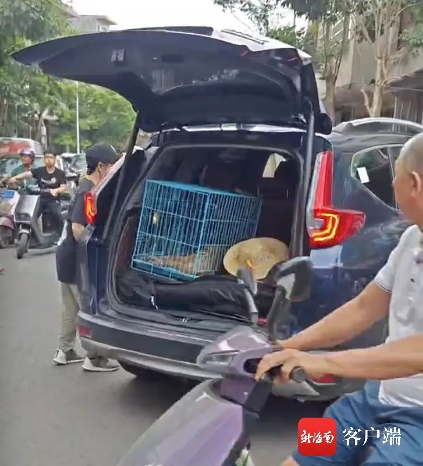 "海口一名疑似‘偷吃猴子’的游客被送往动物园，情况紧急需警方介入调查"