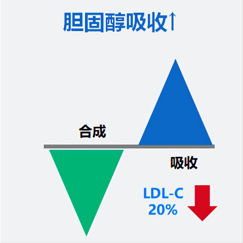 "网上的说法真的对吗：不吃他汀和血脂康会导致降脂无效？"