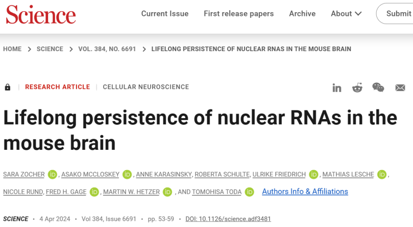 "革命性的发现：RNA的寿命比我们想象的还要长！"