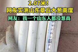 山东章丘大葱：网友实测，高达2.07米，超乎想象的高度让人惊叹！