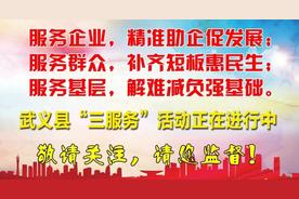 准确解读宝宝感冒的血液检查报告：一项重要的健康提示