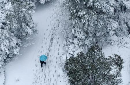 长沙即将迎来2024年的第一场降雪