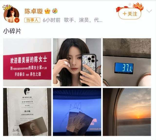 "陈卓璇：轻盈的身材背后是无尽的挑战与残酷的竞争"