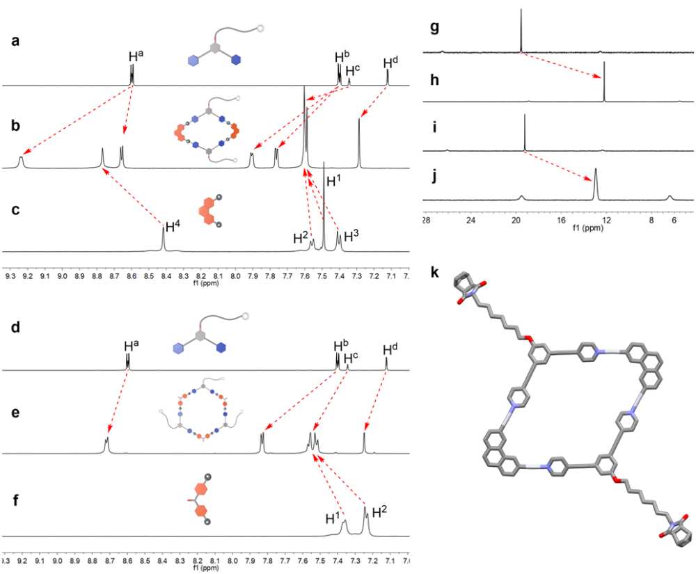 "金属-大环-超分子-聚合物网络在强连接中的应用与研究"