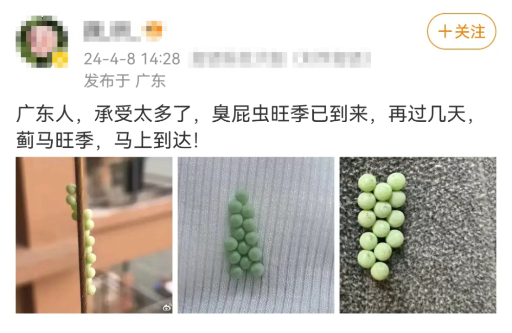 "头屑遍地！南方人近期流行发痒症状，量多到令人担忧？"