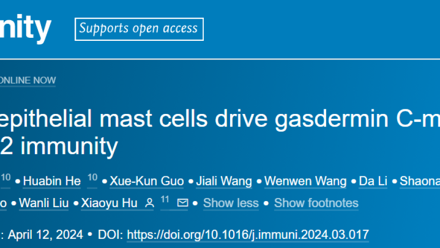 清华大学胡小玉团队揭示上皮内肥大细胞的关键作用：破译百年难题，打破免疫防线