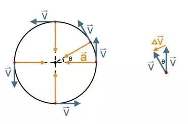 "揭示学习困难背后的原因：为何有的孩子对物理学如此专注但成绩并不理想？"